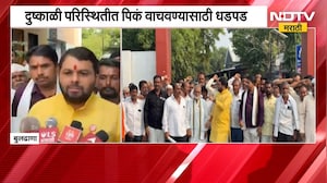 दुष्काळी परिस्थितीत पिकं वाचवण्यासाठी शेतकऱ्यांची धडपड,Ravikant Tupkar यांची मागणी काय?