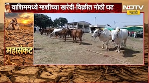 Washim Drought | चारा आणि पाणीटंचाईची शेतकऱ्यांना चिंता, पशुबाजार ओस पडू लागला | NDTV Marathi