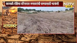 Parbhani Drought | सेलूमध्ये दुधना नदीपात्र कोरडेठाक, जनावरांची पाण्यासाठी भटकंती