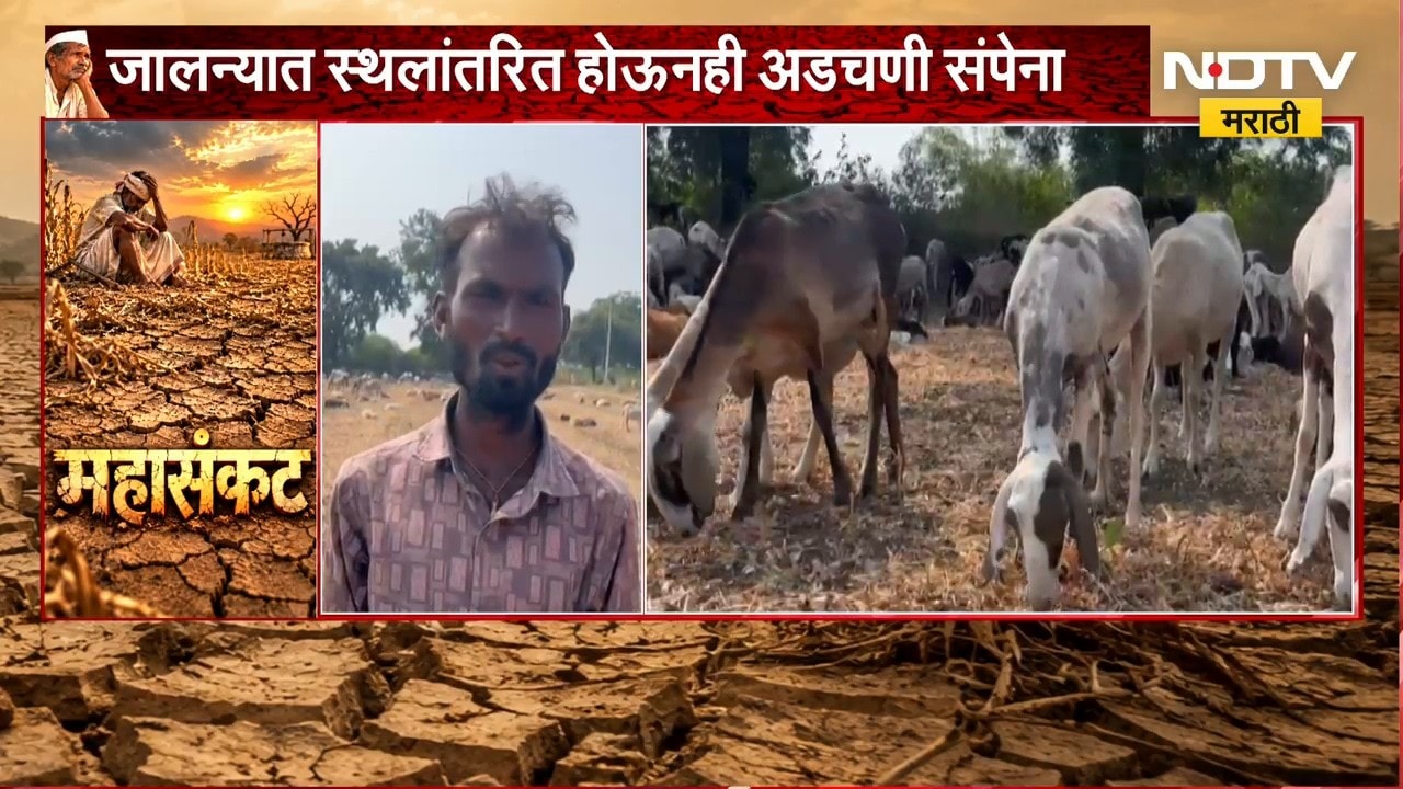 Jalna Drought|चारा पाण्याच्या शोधात नाशिकचे मेंढपाळ जालन्यात,जालन्यात स्थलांतरित होऊनही अडचणी संपेना