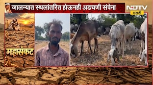 Jalna Drought|चारा पाण्याच्या शोधात नाशिकचे मेंढपाळ जालन्यात,जालन्यात स्थलांतरित होऊनही अडचणी संपेना