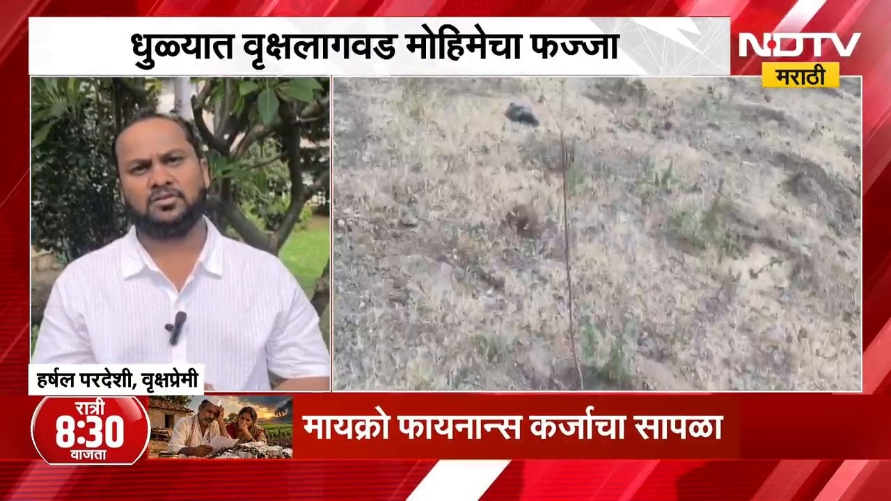 Embed Arrow Tree Dhule News| धुळ्यात वृक्षलागवड मोहिमेचा फज्जा, तीन हजार झाडं जळण्याच्या ...