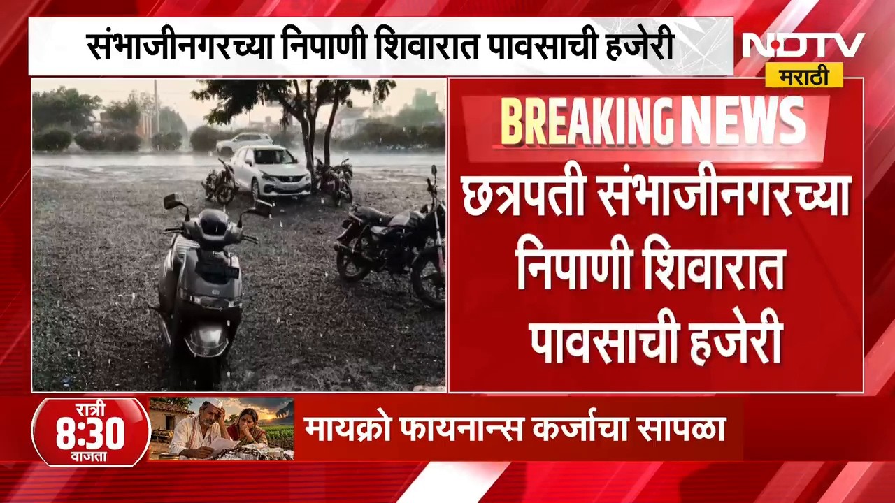 Chh. Sambhajinagarच्या निपाणी शिवारात पावसाची हजेरी, शेतीला ओलावा मिळण्यासाठी अधिक पावसाची गरज