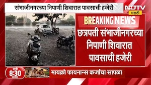 Chh. Sambhajinagarच्या निपाणी शिवारात पावसाची हजेरी, शेतीला ओलावा मिळण्यासाठी अधिक पावसाची गरज