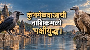 Special Report| कुंभमेळ्याआधी नाशिकमध्ये 'पक्षीयुद्ध'!; कावळा की गिधाड, कोण होणार नाशिकचा शहर पक्षी?