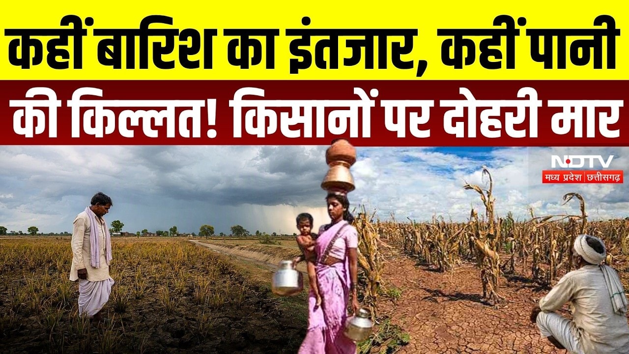 MP-CG Weather Report: कहीं बारिश का इंतजार, कहीं पानी की किल्लत! किसानों पर दोहरी मार | Monsoon|Rain