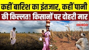 MP-CG Weather Report: कहीं बारिश का इंतजार, कहीं पानी की किल्लत! किसानों पर दोहरी मार | Monsoon|Rain