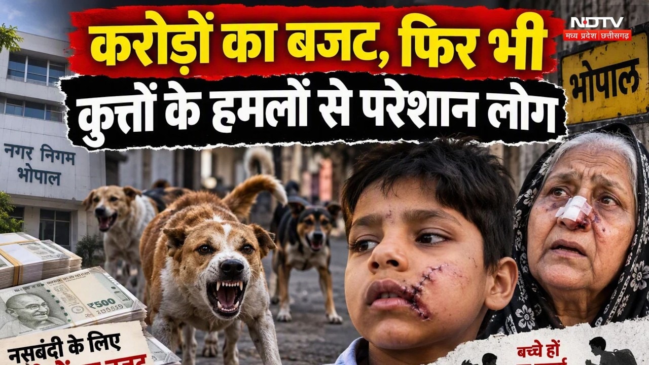 Dog Attack: बच्चे इब्राहिम और 68 साल की राबिया पर हमला, करोड़ों का बजट फिर भी आवारा कुत्तों का आतंक