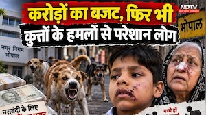 Dog Attack: बच्चे इब्राहिम और 68 साल की राबिया पर हमला, करोड़ों का बजट फिर भी आवारा कुत्तों का आतंक