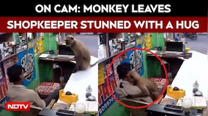 On Camera: Monkey Leaves Shopkeeper Stunned With Hug In Odisha