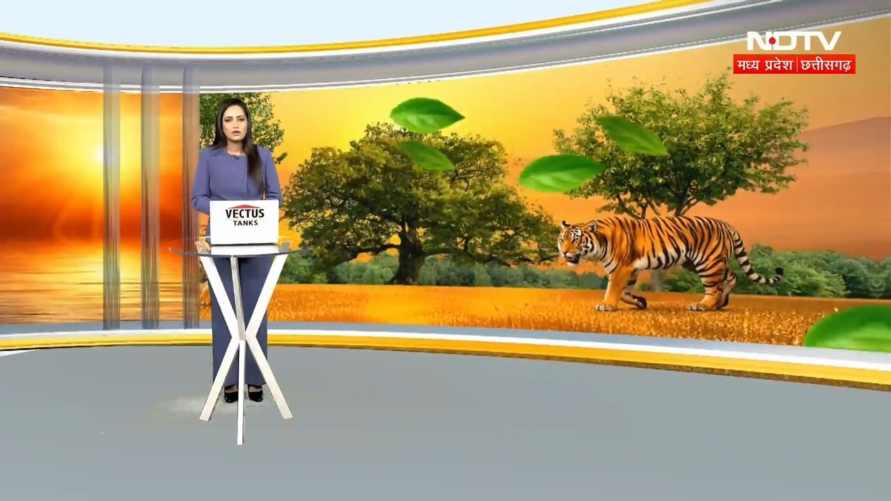 Bhind News: गौरी तालाब में युवती ने लगाई छलांग! तलाश में जुटी पुलिस और SDRF की टीम | Breaking News