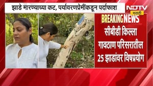 Navi Mumbai | सीबीडीत 25 झाडांवर विषप्रयोगाचा धक्कादायक प्रकार,  पर्यावरणप्रेमींकडून पर्दाफाश