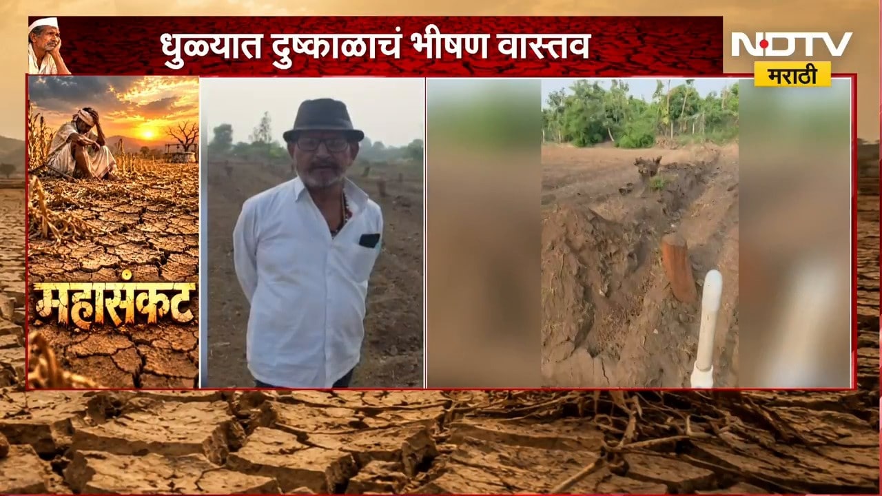 Dhule Drought| पाण्याअभावी शेतकऱ्यावर 300 फळझाडं तोडण्याची वेळ;60 फूट विहीर, 500 फूट बोअरवेलही कोरडी