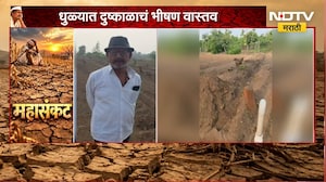 Dhule Drought| पाण्याअभावी शेतकऱ्यावर 300 फळझाडं तोडण्याची वेळ;60 फूट विहीर, 500 फूट बोअरवेलही कोरडी
