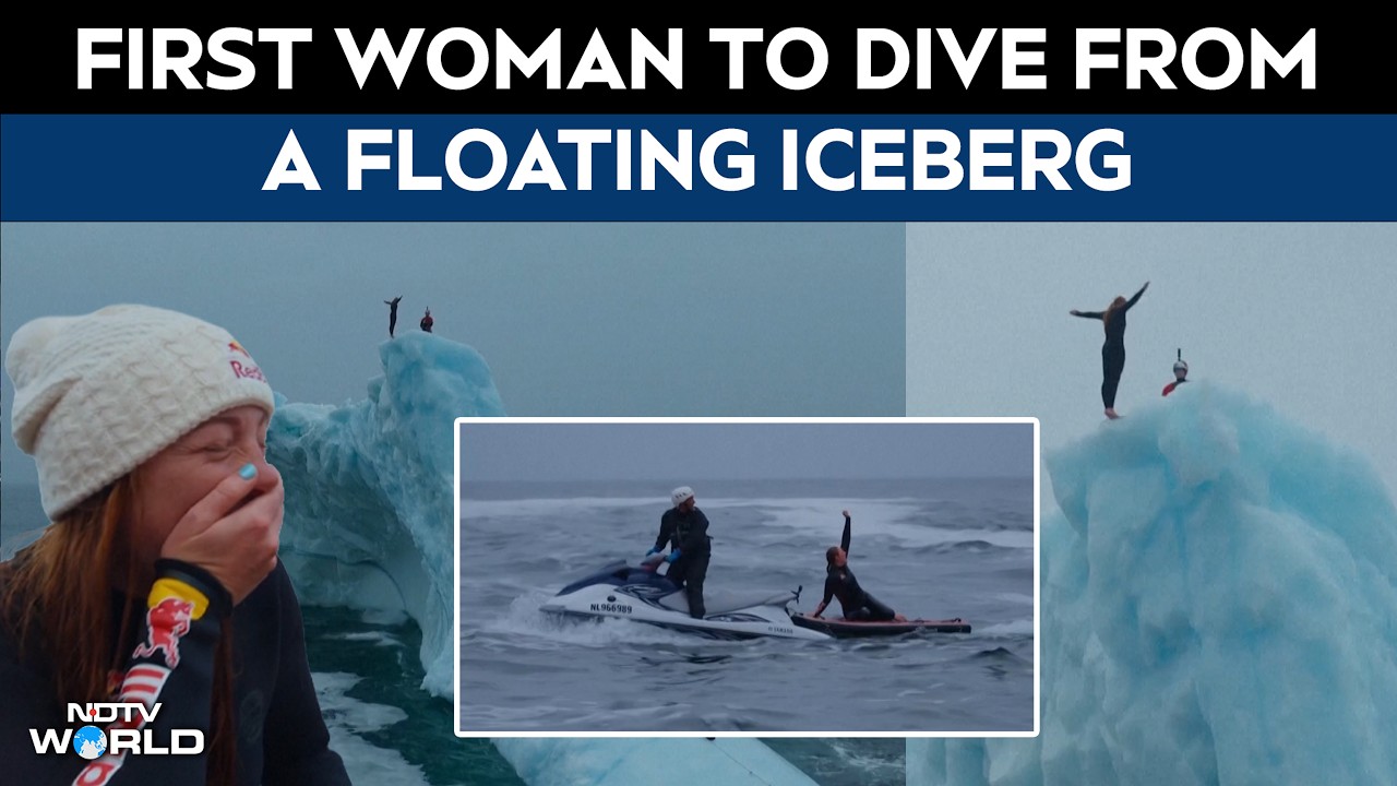 Molly Carlson Becomes The First Woman To Dive From An Iceberg