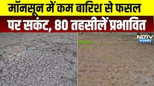 Weather Alert: मॉनसून में कम बारिश से फसल पर संकट, 80 तहसीलें प्रभावित  । Top News । Breaking News