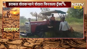 Drought Effect | हतबल शेतकऱ्याने शेतात फिरवला ट्रॅक्टर, नागभीड तालुक्यातील घटना | NDTV Marathi