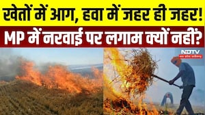 MP में नरवाई जलाने पर क्यों नहीं लग रही लगाम? प्रदूषण से मिट्टी तक को नुकसान, किसानों की मजबूरी क्या