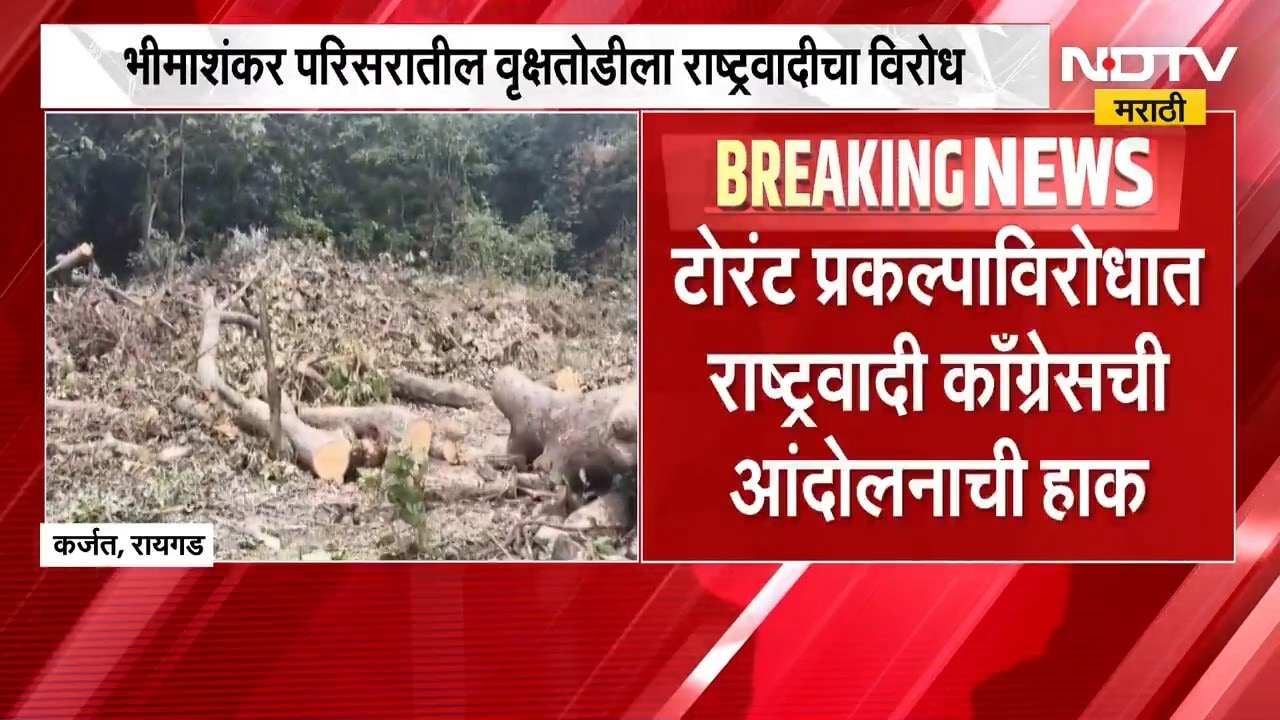 Embed Arrow Tree Bhimashankar News | वृक्षतोड, टोरंटबाबत सरकारमध्येच दोन मतप्रवाह ...
