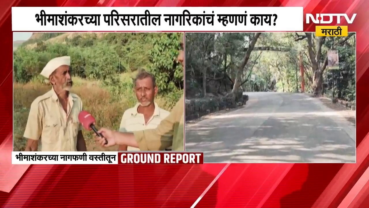 Embed Arrow Tree Bhimashankar Forest | भीमाशंकर जंगलात वृक्षतोडीचा वाद, नागफणी वस्तीतून ...