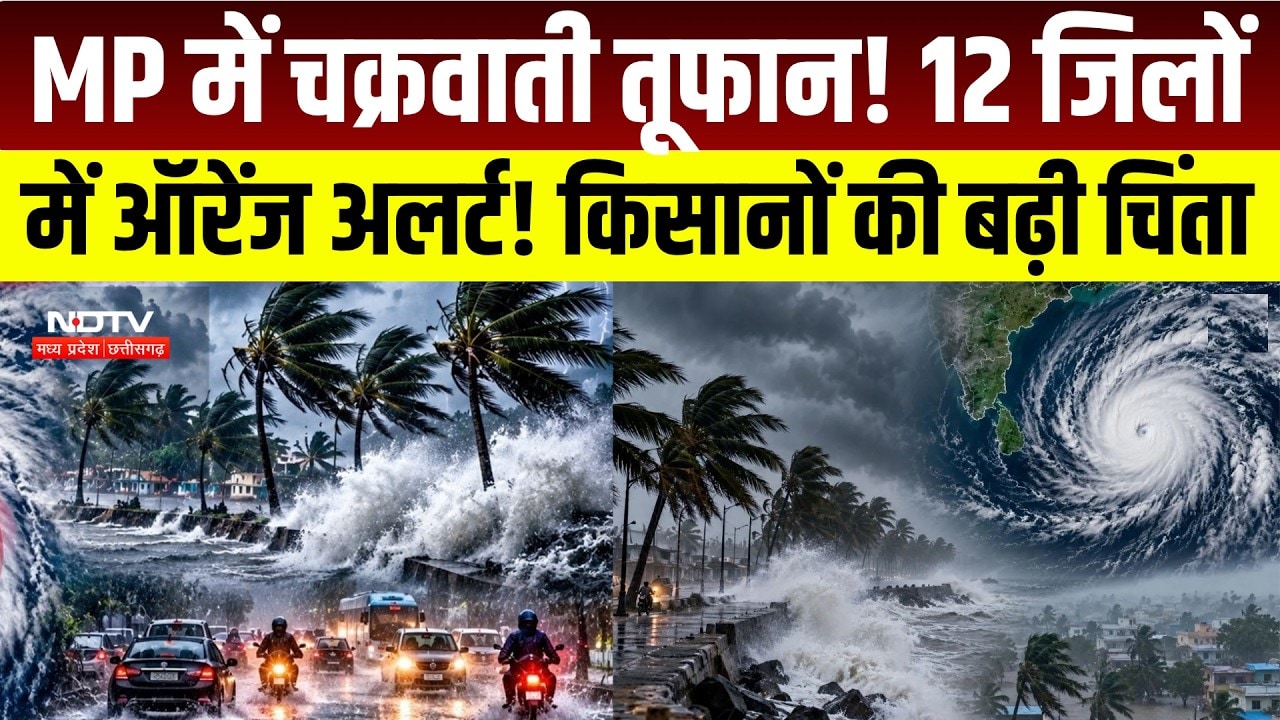 MP Weather Alert : मध्यप्रदेश में Heavy Rain का Alert, Jabalpur समेत कई जिलों को चेतावनी । Breaking