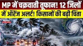 MP Weather Alert : मध्यप्रदेश में Heavy Rain का Alert, Jabalpur समेत कई जिलों को चेतावनी । Breaking