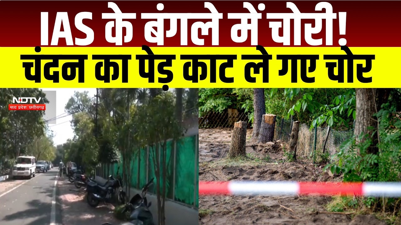 Bhopal Crime News : DGP के पड़ोस में चोरी, IAS अधिकारी Vivek Porwal के घर से चंदन का पेड़ गायब