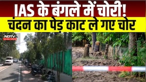 Bhopal Crime News : DGP के पड़ोस में चोरी, IAS अधिकारी Vivek Porwal के घर से चंदन का पेड़ गायब