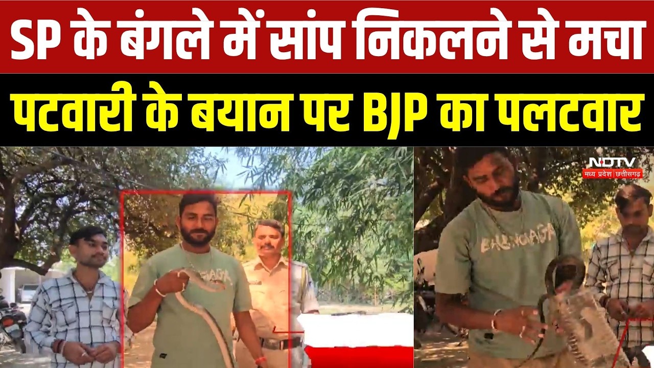 Tikamgarh News: SP के बंगले में निकला 5 फीट लंबा धामन सांप, वन विभाग और सर्पमित्र ने किया रेस्क्यू