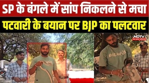Tikamgarh News: SP के बंगले में निकला 5 फीट लंबा धामन सांप, वन विभाग और सर्पमित्र ने किया रेस्क्यू