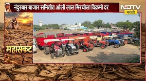 Nandurbar | नंदुरबारमध्ये ओल्या लाल मिरचीला विक्रमी दर, मात्र शेतकऱ्यांच्या पदरी निराशा | NDTV