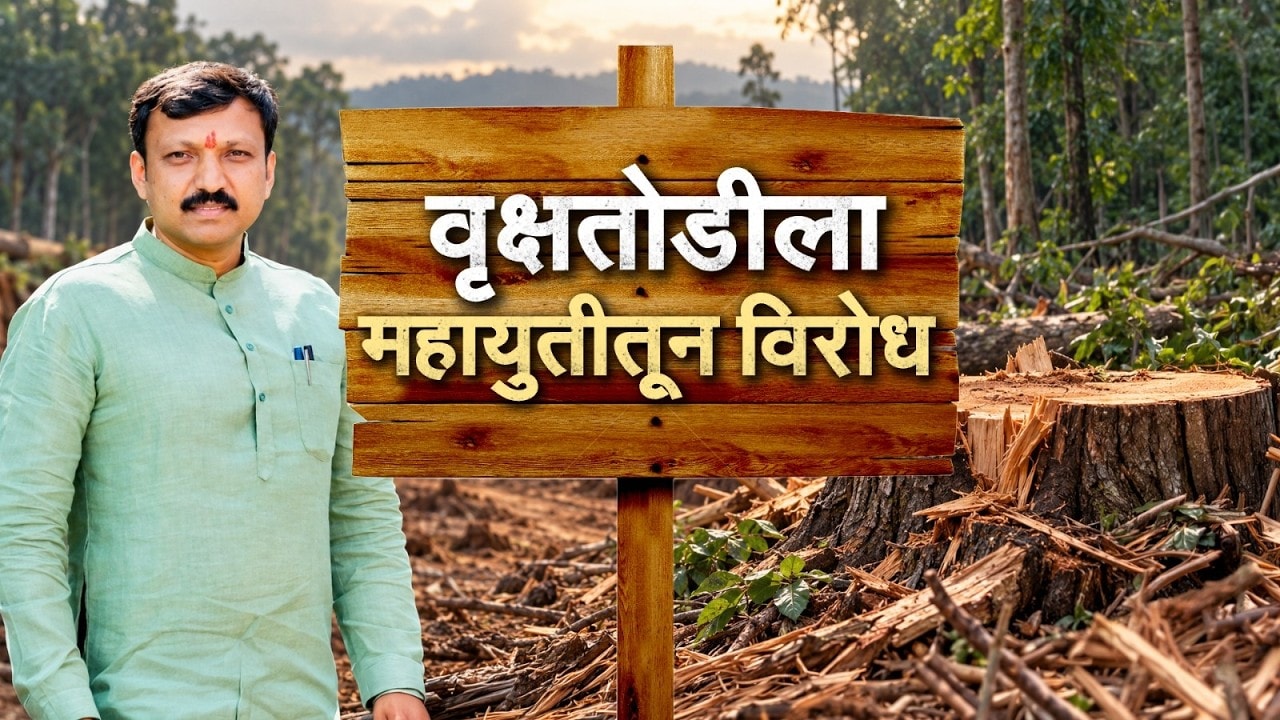 Special Report | भीमाशंकर वृक्षतोडीला महायुतीतूनही विरोध, मनोज जरांगे मैदानात, काय घडतंय? | NDTV