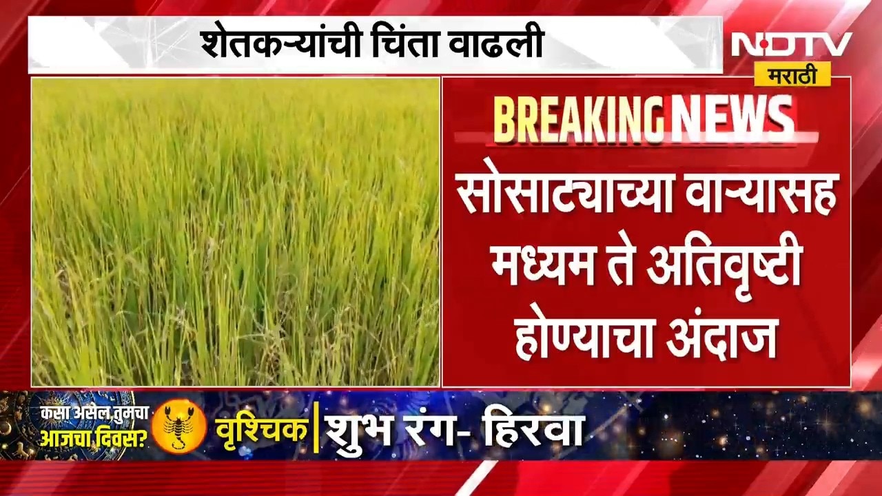 Maharashtra Rain | भंडारा आणि गडचिरोलीत बसरणार पाऊस, शेतकऱ्यांना सतर्क राहण्याचं आवाहन | NDTV