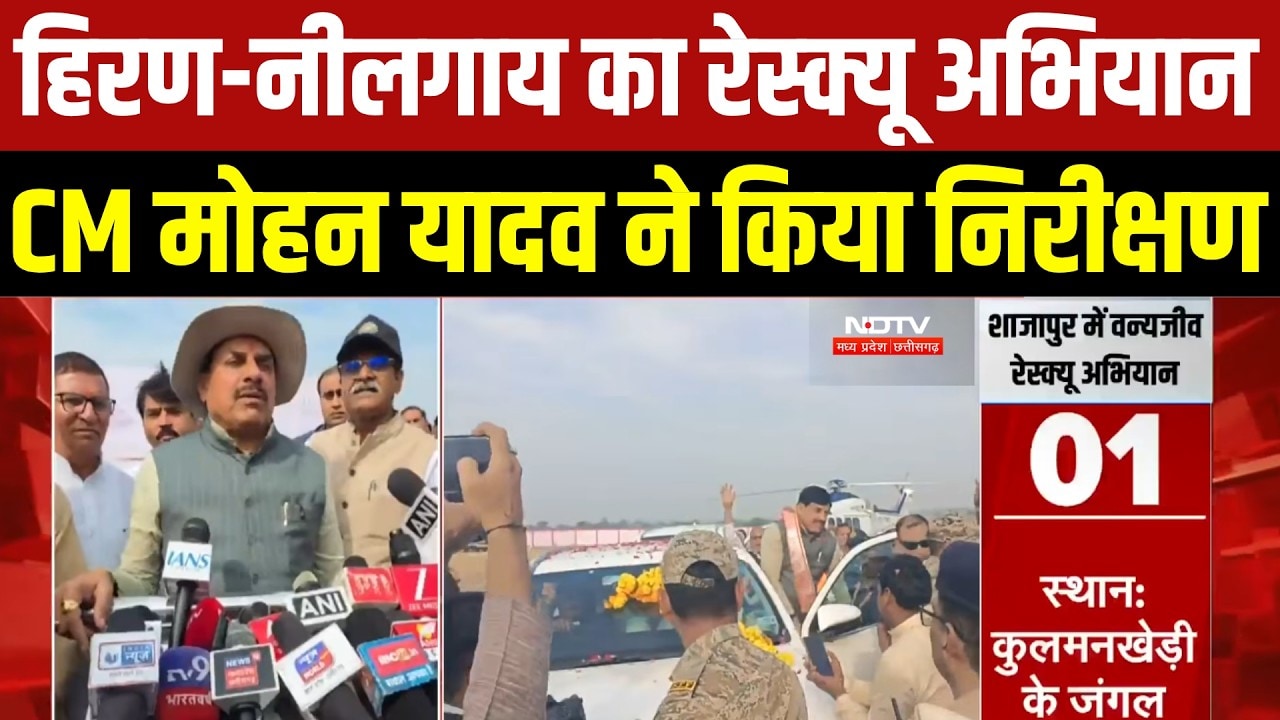 MP News: CM Mohan Yadav ने Shajapur में देखा Deer-नीलगाय Rescue Operation । Breaking News