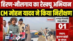 MP News: CM Mohan Yadav ने Shajapur में देखा Deer-नीलगाय Rescue Operation । Breaking News