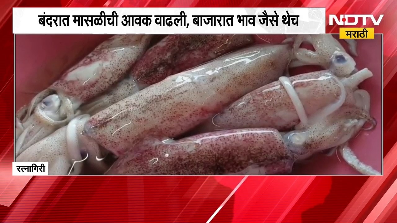 Ratnagiri | बंदरात मासळीची आवक वाढली, बाजारात भाव जैसे थेच | NDTV Marathi