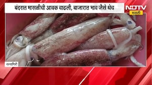 Ratnagiri | बंदरात मासळीची आवक वाढली, बाजारात भाव जैसे थेच | NDTV Marathi