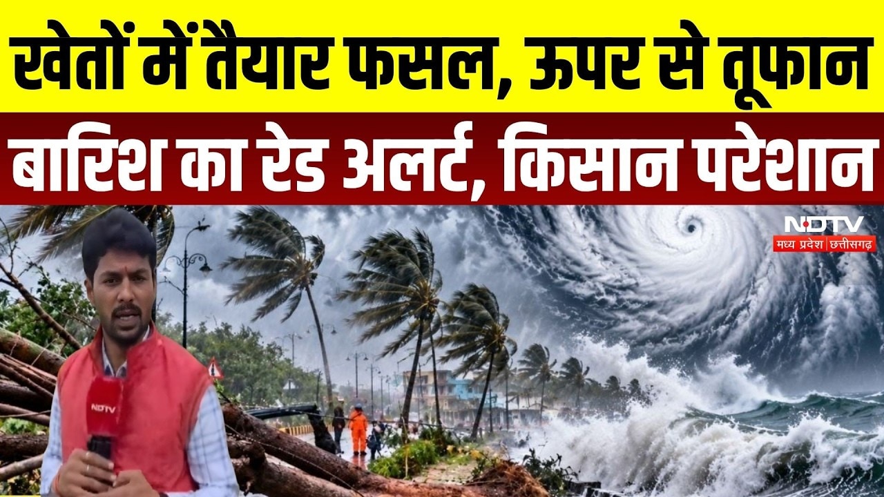 Cyclone Arnab Effect: Chhattisgarh में तूफान-बारिश से बढ़ी किसानों की चिंता, जानिए मौसम का हाल | IMD