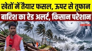 Cyclone Arnab Effect: Chhattisgarh में तूफान-बारिश से बढ़ी किसानों की चिंता, जानिए मौसम का हाल | IMD