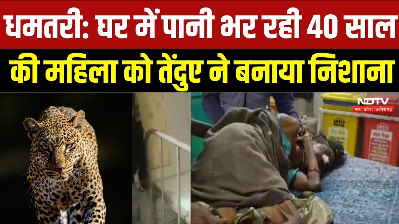 Chhattisgarh Leopard Attack: धमतरी में 40 साल की महिला पर तेंदुए का हमला, गांव में हड़कंप | Breaking
