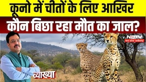 Vyakhya With Kapil Sharma | Kuno Cheetah Death: कूनो में चीतों के लिए आखिर कौन बिछा रहा मौत का जाल?