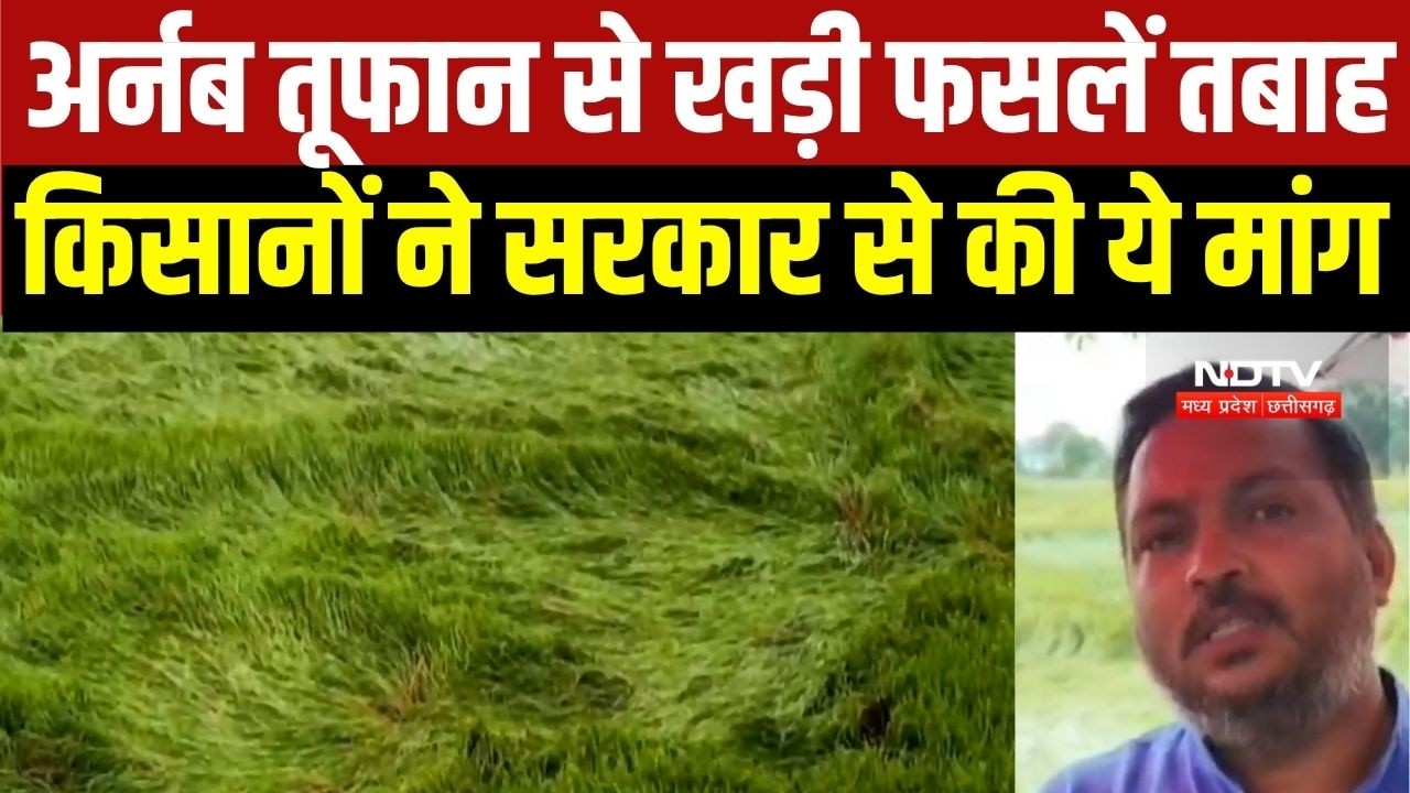 Cyclone Arnab से Chhattisgarh में फसलों को नुकसान, किसानों ने सरकार से की ये मांग...