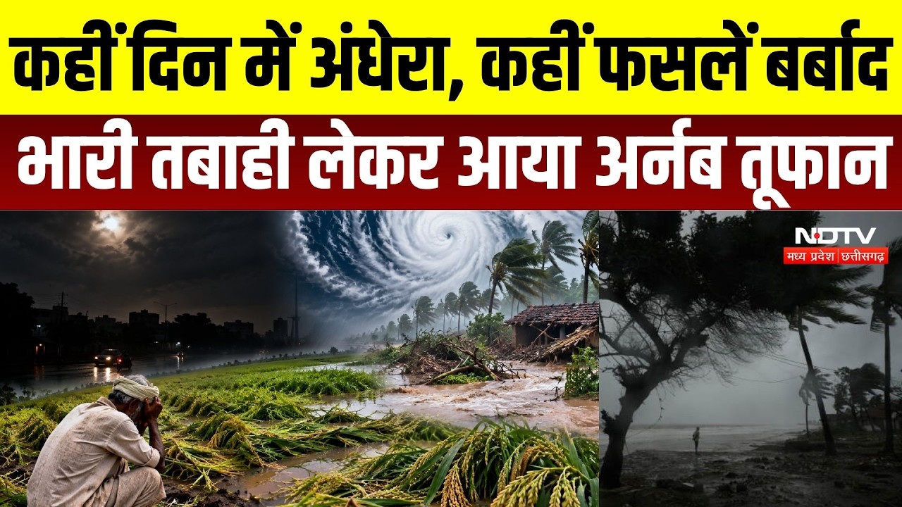 Cyclone Arnab: बारिश और तूफान से धान की फसल पर संकट, कई जिलों में अलर्ट | Chhattisgarh Weather Alert