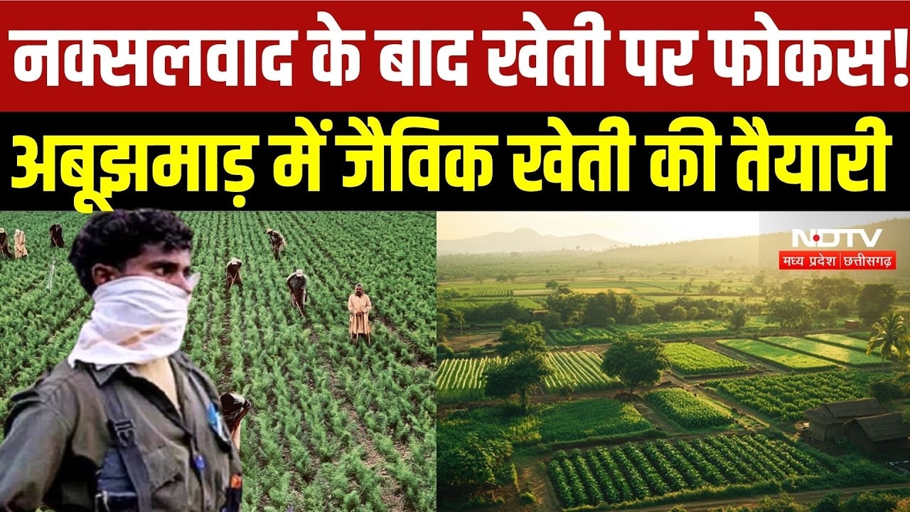 Bastar Organic Farming:अबूझमाड़ में जैविक खेती को बढ़ावा देगी सरकार, IIT भिलाई से मिलेगी तकनीकी मदद?