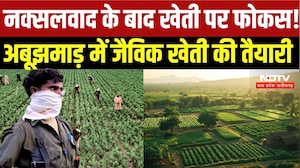 Bastar Organic Farming:अबूझमाड़ में जैविक खेती को बढ़ावा देगी सरकार, IIT भिलाई से मिलेगी तकनीकी मदद?