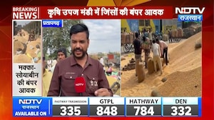 Mandi: प्रतापगढ़ मंडी में मक्का-सोयाबीन की बंपर आवक, मिल रहे अच्छे भाव । Top News । Breaking News
