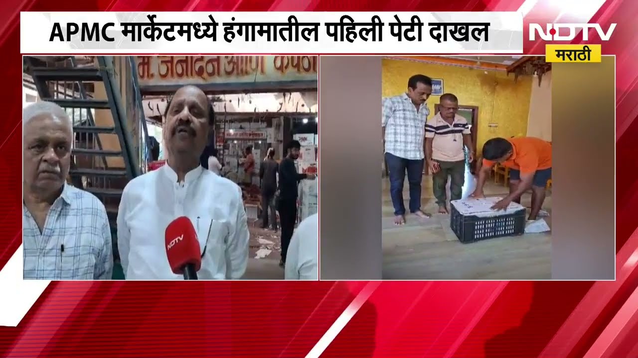 Alphonso mangoes arrived at the APMC । नवी मुंबईच्या APMC मार्केटमध्ये आली हापूस आंब्याची पहिली पेटी