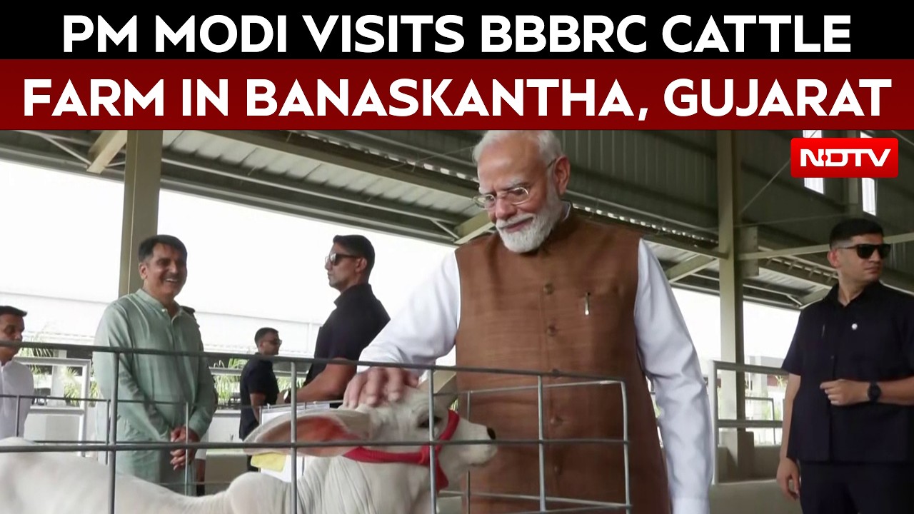 PM Modi Visits Bharat Bovine Breeding And Research Centre (BBBRC) Cattle Farm In Banaskantha