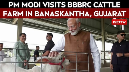 PM Modi Visits Bharat Bovine Breeding And Research Centre (BBBRC) Cattle Farm In Banaskantha