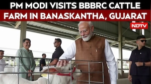 PM Modi Visits Bharat Bovine Breeding And Research Centre (BBBRC) Cattle Farm In Banaskantha